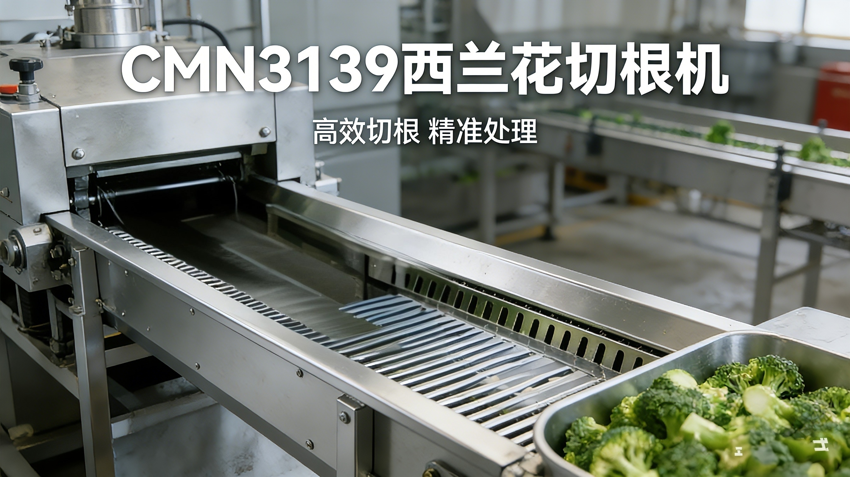 西兰花切根机 CMN3139